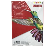 Spalvoto popieriaus rinkinys College, A4, 80g, 4 neoninės spalvos po 5 lapus, 20 lapų