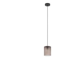 Lubinis šviestuvas Šviestuvas kabinamas Eglo 901162, 40 W, E27