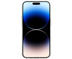 Tel Protect Flower Magsafe dėklas skirtas Apple iPhone 11 Pro Max design 1