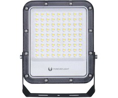 „Telforceone“ LED prožektorius PROXIM+ 50W 6500K 7500lm 230V IP65 „Forever Light“ 150lm/W 5 metų garantija