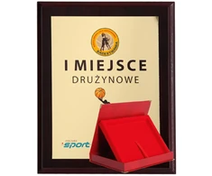 Tryumf Plastikinis diplomas su „colour touch“ laminatu ir dėklu HG2552+DĖKLAS/G