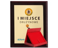 Tryumf Plastikinis diplomas su „colour touch“ laminatu + dėklas 305×245 mm HG2554+DĖKLAS/G