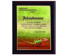 Tryumf Plastikinis diplomas su „colour touch“ laminatu HG2553/G