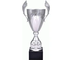 Tryumf Sidabrinė metalinė taurė 4127B 4127B