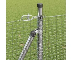 Tvorelės stulpas Sidabrinė