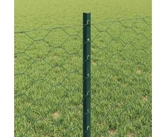 Hexagonal Fence with Post 10 x 0,6 m PVC dengtas plienas Žalia
