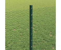 Hexagonal Fence with Post 10 x 0,8 m PVC dengtas plienas Žalia