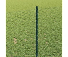 Hexagonal Fence with Post 10 x 1 m PVC dengtas plienas Žalia