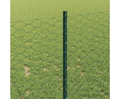 Hexagonal Fence with Post 10 x 1 m PVC dengtas plienas Žalia