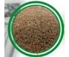 Vejų sėklos DLF Sun, 20 kg