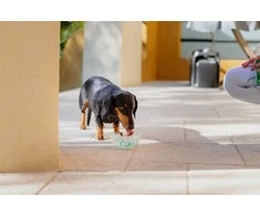 VIRBAC Vet Aquadent FR3SH - dental solution for oral hygiene for dogs and cats – 250ml