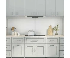 Virtuvės atbraila 2 pcs Skaidrus 100 x 60 cm grūdintas stiklas