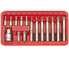 VOREL TORX sukimo antgalių rinkinys 15 vnt. 66580