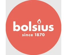 Žvakė, arbatinė Bolsius, 4 h, 50 vnt., Balta sp.