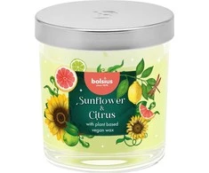 Žvakė, aromatinė Bolsius Saulėgąžų ir citrusų, 25 h