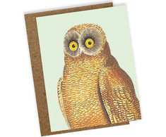 30x40 60Mini atvirukas Mellow Owl (9.5x12.2)