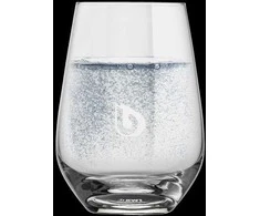 Schott Zwiesel BWT stiklinės 300 ml (6 vnt.) 125252403