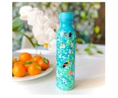 Pylones MAXI termosas BIRD