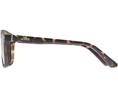 Akiniai Uvex lace P havanna matt / mirror auksinis