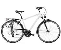 Dviratis Romet Wagant 1 2025 baltas-pilkas-21" / L (Dydis: 21" / L)