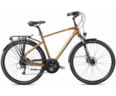 Dviratis Romet Wagant 6 2025 ruda-juodas-19" / M (Dydis: 19" / M)