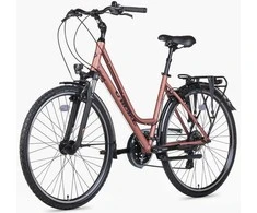 Dviratis Unibike Vision LDS 2026 coral-L / 19" (Dydis: L / 19")
