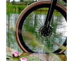 Padanga 28" Vittoria Terreno Pro T60 mixed TLR Fold 700x45c / 45-622 natural