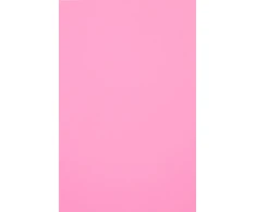 Evelatus Universal Universal Color Shinning A3 plėvelė šilkografijos pjaustytuvui Light Rožinė