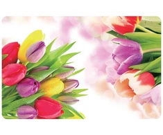 Tulip Asi Collection Galda paliktnis 43 5x28cm tulpe