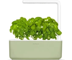Click Grow „Click and Grow“ – išmaniojo sodo 3 pradinis rinkinys (spalva: šalavijų) (SGS13UNI)