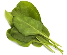 Click And Grow Click &amp; Grow sėklos išmaniajam vazonui - Lapiniai burokėliai, 3vnt.