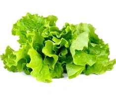 Click Grow Click And Grow SMART HOME Žalias LETTUCE REF./GLETT-REFILL-3 CLICK&amp;GROW