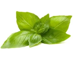 Click And Grow Click &amp; Grow Smart Refill Lemon Basil 3pcs