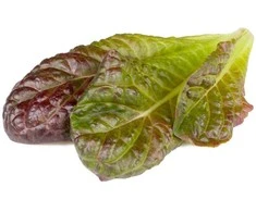 Click &amp; Grow Smart Garden Refill Raudona romaine lettuce 3pcs SGR94X3 ()