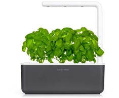 Išmanus namų sodas Click &amp; Grow Smart Indoor Garden 3, pilkas
