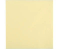 ELEGANCE servetėlės, 20 vnt., šampano spalvos, 16 x 16 x 3, 20302, RAVI Decor