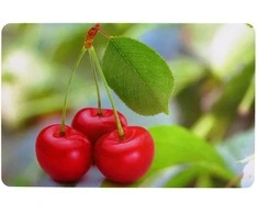 Newill Cutting boards 43,5x28cm cherry