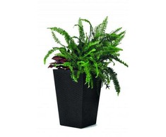 Curver Rattan Planter S 23,6 L antracytowa 228978