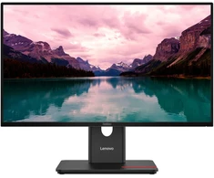 Monitorius Lenovo Lenovo ThinkVision T24-40 LED