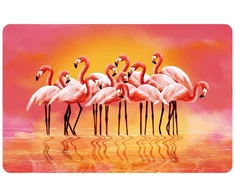 Newill padėkliukas 43,5x28cm flamingo