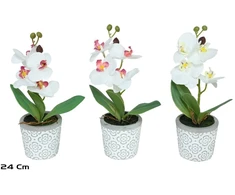 Dirbtinės orchidėjos vazone x4 – 24 cm, 10x14x24 cm, LITO