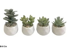 Dirbtiniai sukulentai 8–11 cm, 7x7x11 cm, LITO