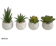 Dirbtiniai sukulentai 8–13 cm, 8x8x13 cm, LITO