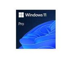 Microsoft ESD Windows Professional N 11 64-bit All Languages Online Product Key License 1 License Downloadable ESD NR