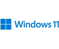 Microsoft 1x Windows 11 Pro GGK 64-Bit DVD OEM English International (EN)