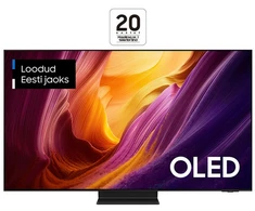 Televizorius Samsung QE55S95HFTXXH 2026m. modelis