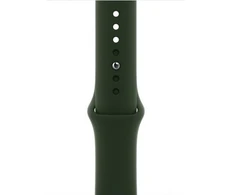 Just Must Siksniņa Universal Liquid silicone case for Apple watch band 38/40/41 Olive Žalias 20000166640