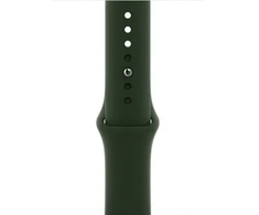 Just Must Siksniņa Universal Liquid silicone case for Apple watch band 38/40/41 Olive Žalias 20000166640