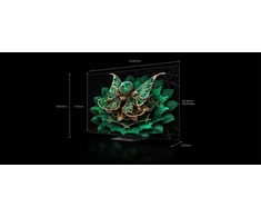 TCL TV Q7C Premium QD-Mini LED televizorius, 139.7 cm | 55Q7C