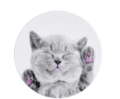 iLike Universal Pop Holder Cat